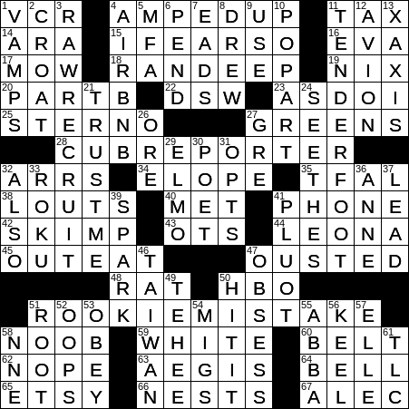 Big Name In Shoe Stores Crossword Clue Archives